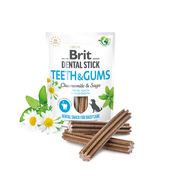 Dental Stick Teeth & Gums with Chamomile & Sage